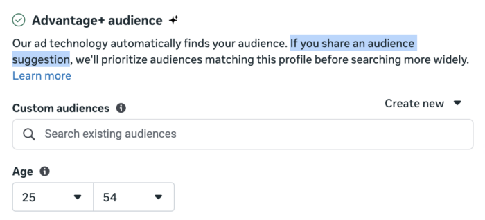 Advantages + Audience Age Range Suggestions